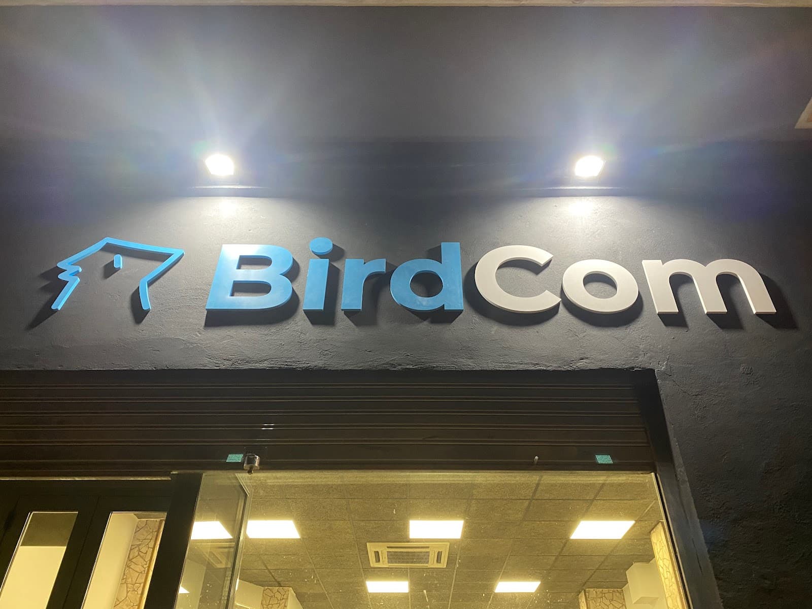 BirdCom | Agencia de Marketing Digital · Posicionamiento Web (SEO) — agencia SEO en Zaragoza
