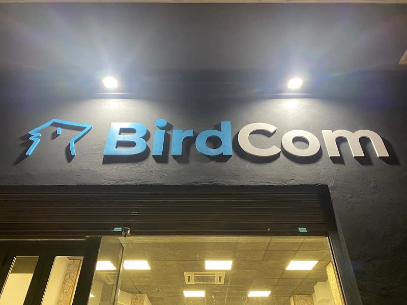 BirdCom | Agencia de Marketing Digital · Posicionamiento Web (SEO) — agencia SEO en Zaragoza