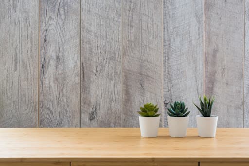 Lemur Creativos — agencia SEO en Huesca