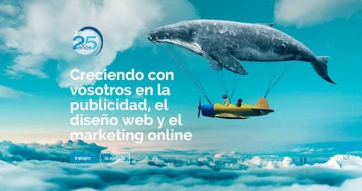 RTO — agencia SEO en Vitoria-Gasteiz, Álava