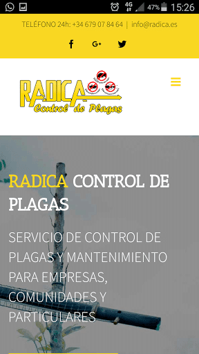 A10web Estudio de Diseño web