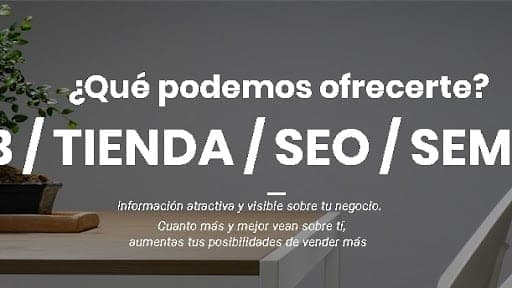 Páginas Web Vitoria — agencia SEO en Vitoria-Gasteiz, Álava