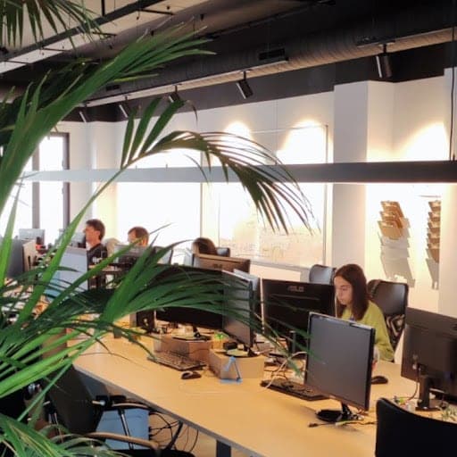 DominioZero — agencia SEO en A Coruña