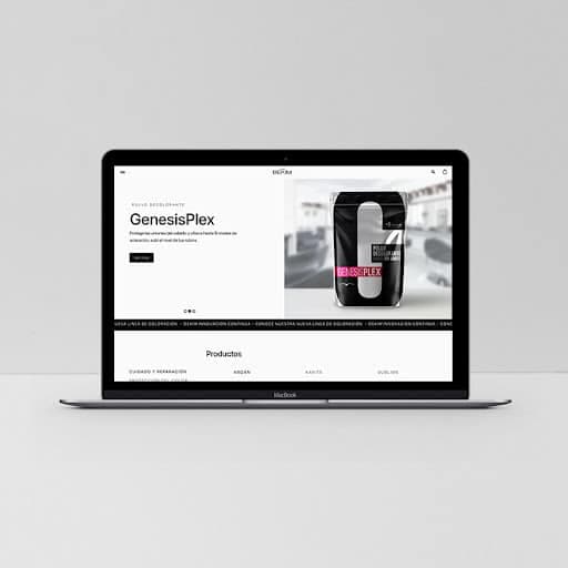 SEB Web design