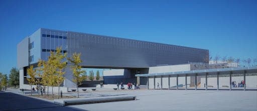 ElephMind — agencia SEO en Linares, Jaén