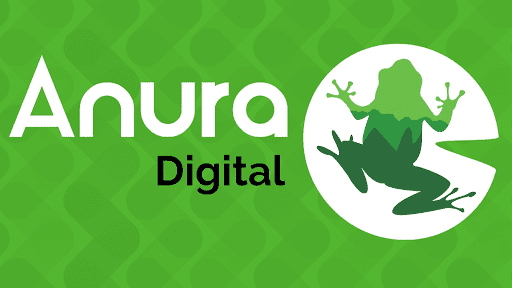 Anura Digital - WEB, SEO y SEM. Diseño y desarrollo web, Posicionamiento en Internet y Campañas de publicidad online — agencia SEO en Sevilla