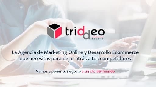 Triddeo — agencia SEO en Zaragoza