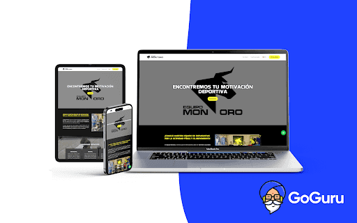 Goguru - Diseño Web / Agente Digitalizador — agencia SEO en Dos Hermanas, Sevilla