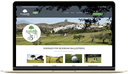 Diseño Páginas Web Guadalajara | Tesumass