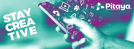 Pitaya Marketing Fuerteventura — agencia SEO en Costa Calma, Las Palmas