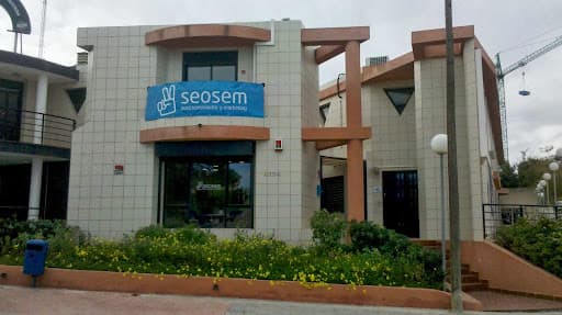 SEOSEM ® Posicionamiento SEO