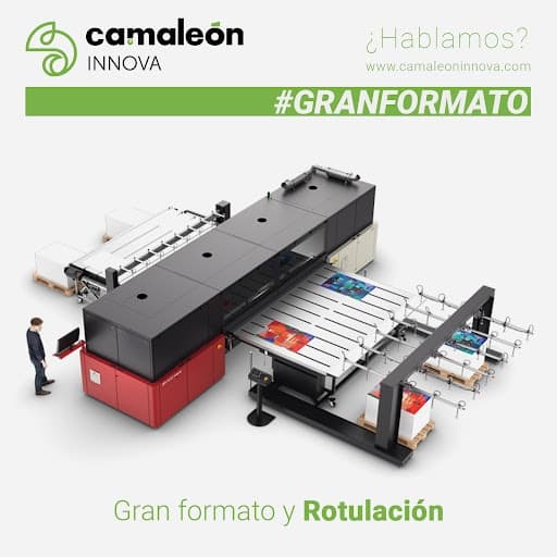 Camaleón Innova | Agencia de Marketing y Publicidad — agencia SEO en Castellón de la Plana, Castellón