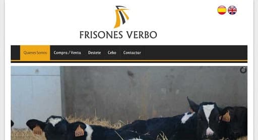 Infoasistencia Web Toledo / Diseño web Toledo — agencia SEO en Toledo