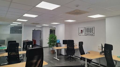 IKAUE — agencia SEO en Palma, Baleares