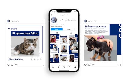 Publicidad Paula Alberola — agencia SEO en Algeciras, Cádiz