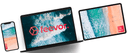 Feevor