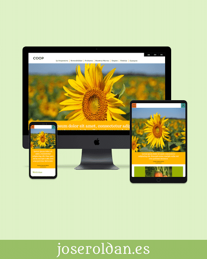 José Roldán Website design & SEO — agencia SEO en Dos Hermanas, Sevilla