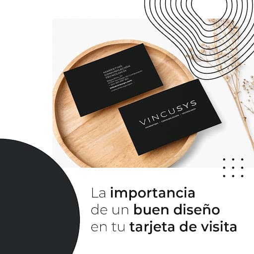 VINCUSYS