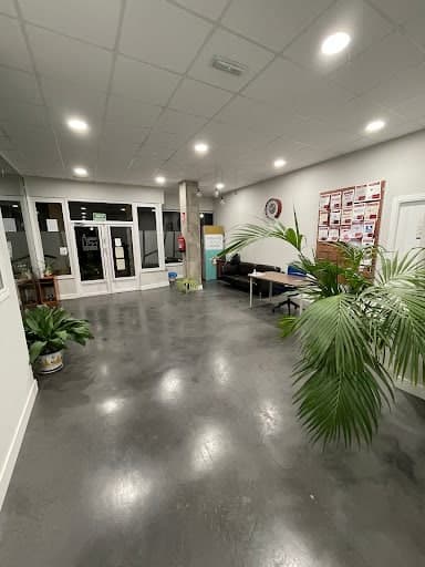 Infoes Digital — agencia SEO en Talavera de la Reina, Toledo