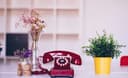 Alola Media | Marketing Digital